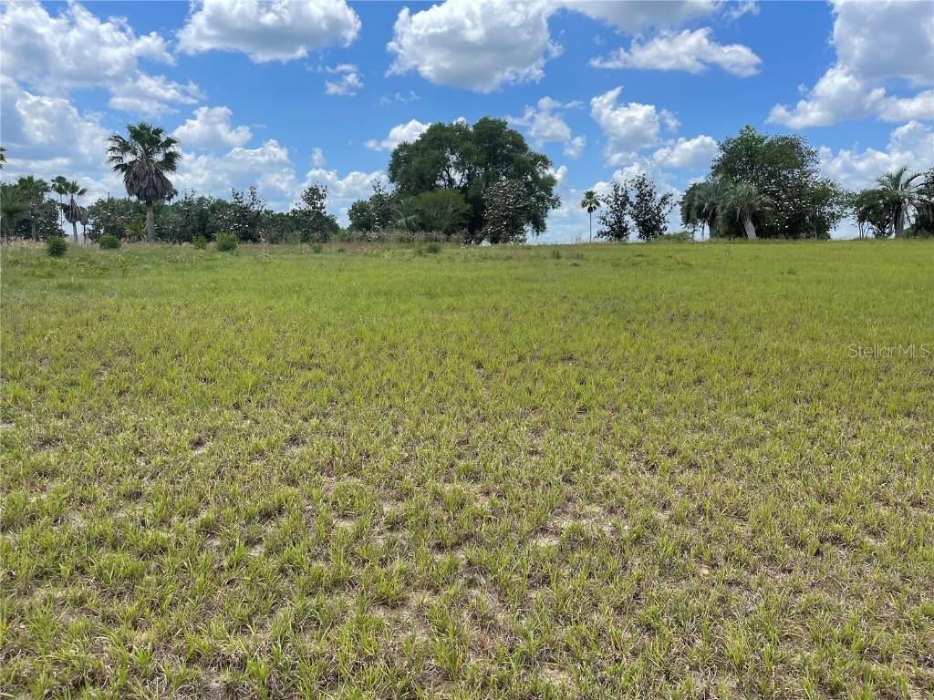 Lot 64 Royal Palm Dr., Groveland, FL 34736