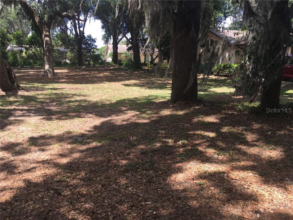 Palmetto Rd., Eustis, FL 32726