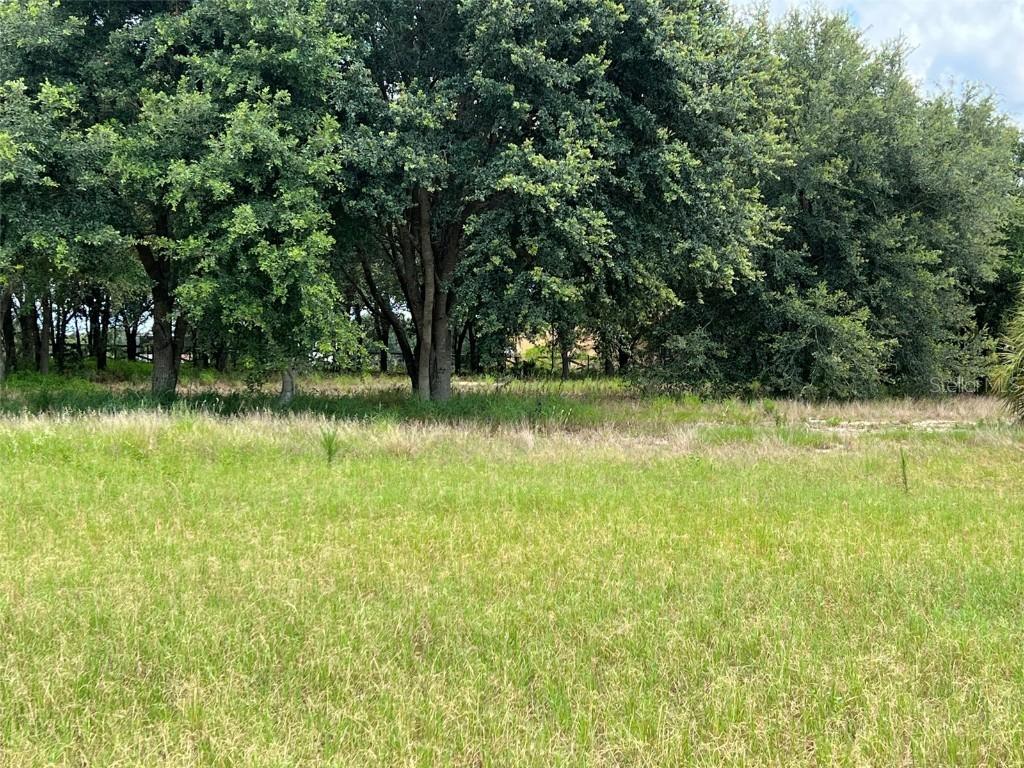 9136 Oakheart Ln., Clermont, FL 34711