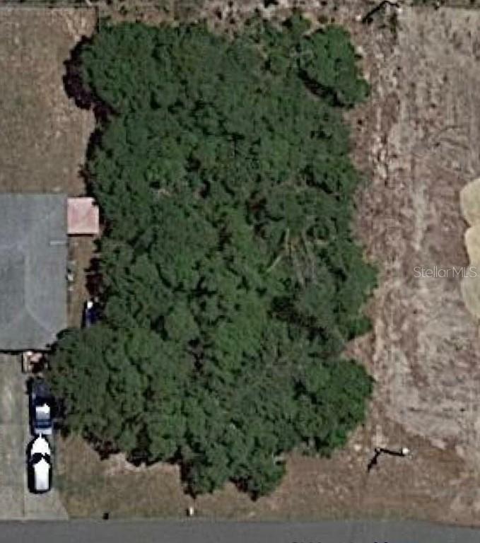 Tbd, Ocala, FL 34475