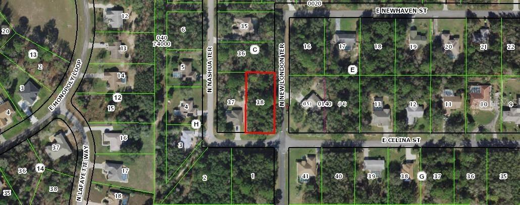 1973 E Celina St., Inverness, FL 34453