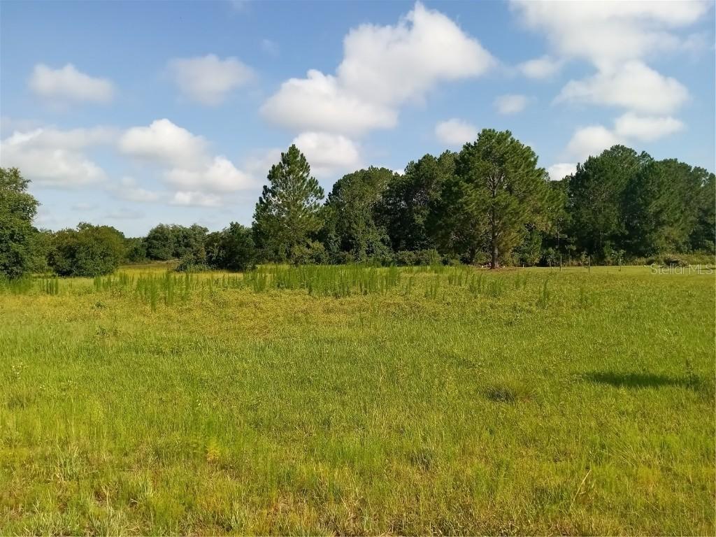 Ocilla Loop, Clermont, FL 34714
