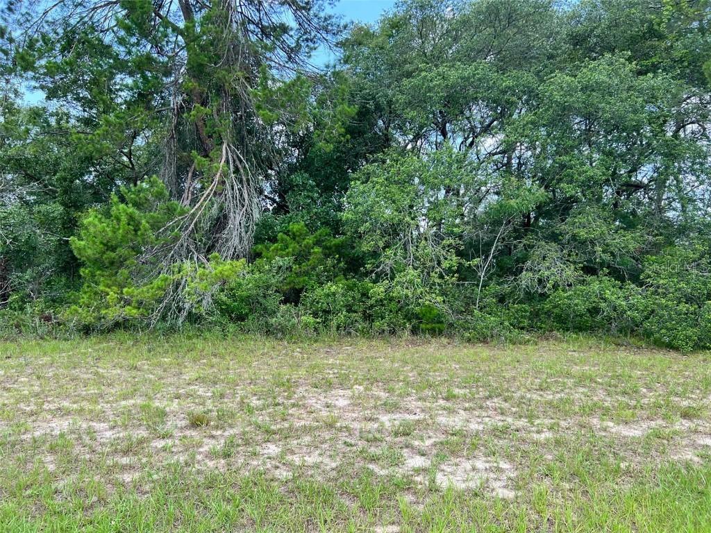 00 SW 32nd Ter Rd, Ocala, FL 34473