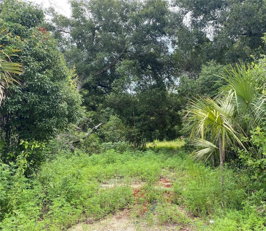 County Road 437, Sorrento, FL 32776