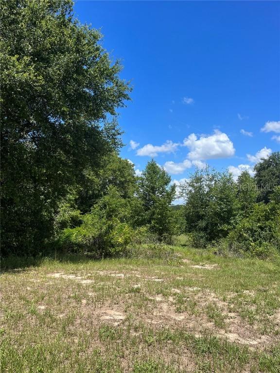 18313 Great Blue Heron Dr. #LOT 6, Groveland, FL 34736