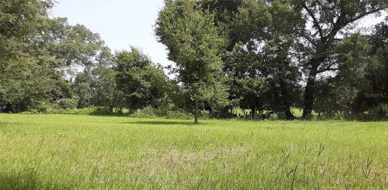 Collins St., Umatilla, FL 32784