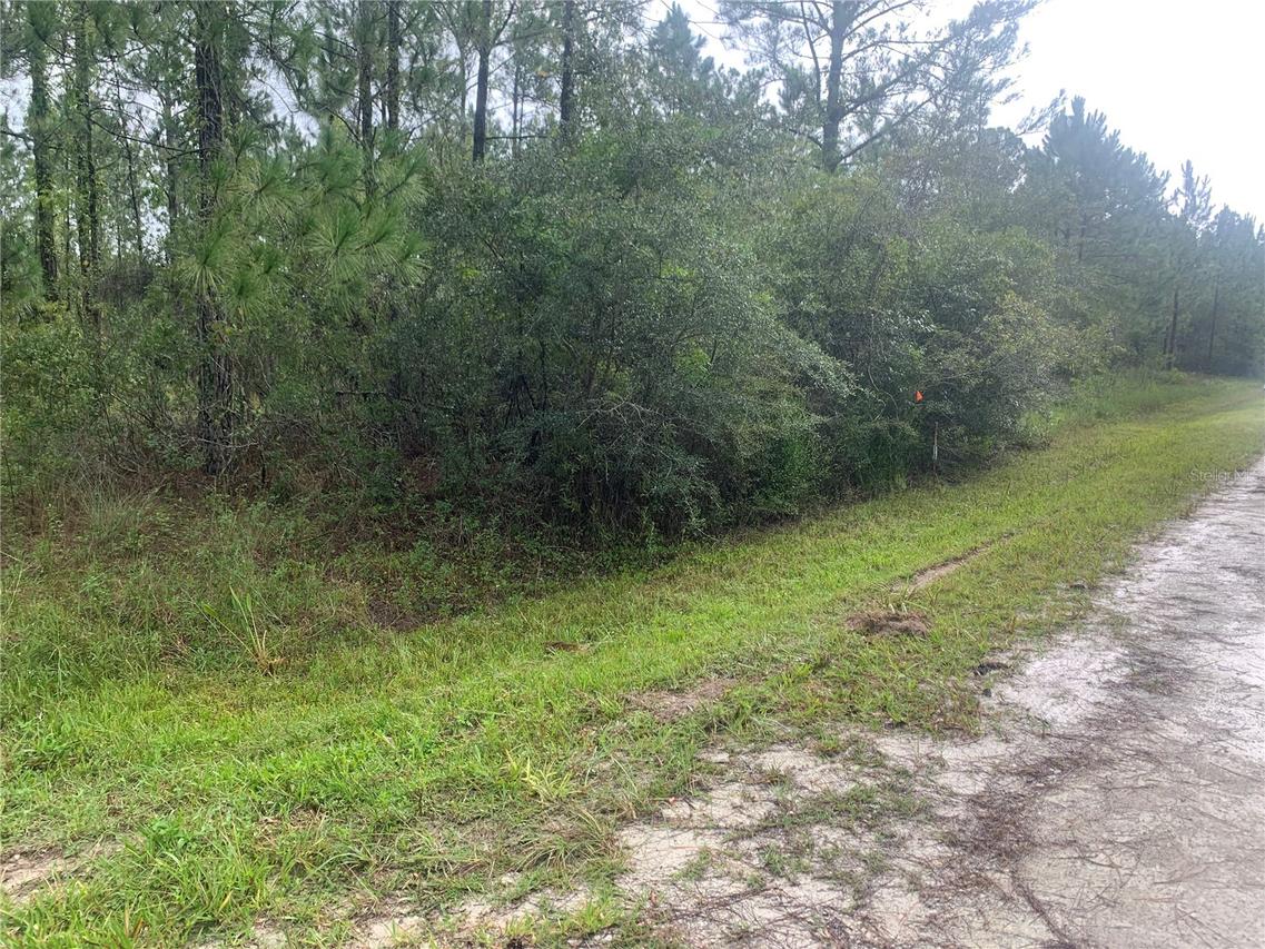 TBD Otter Dr. #LOT 44, Webster, FL 33597