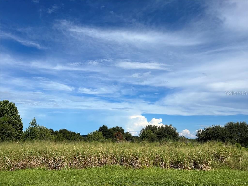 Sleepy Hollow Rd., Leesburg, FL 34748
