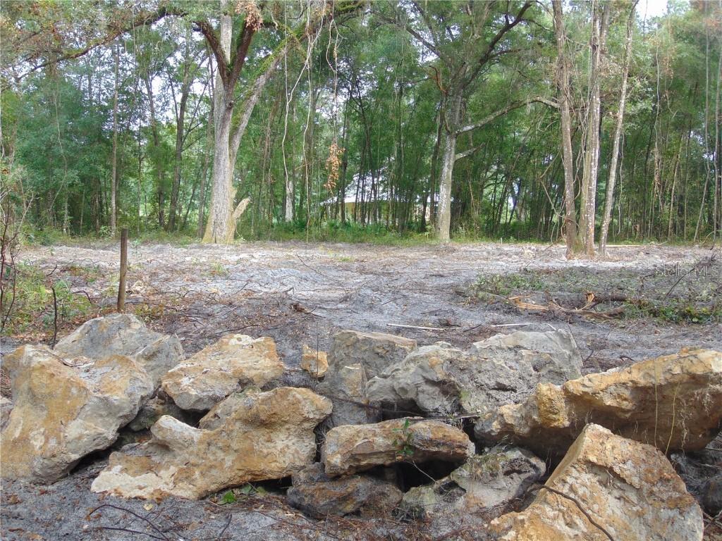 1001 NE 130th Ave., Oxford, FL 34484