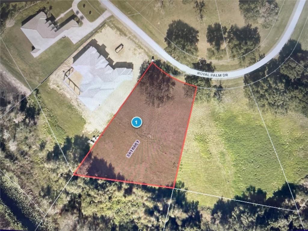 Royal Palm Dr., Groveland, FL 34736