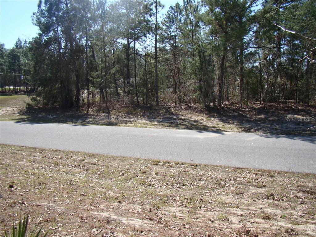 00 Sw 162nd Place, Ocala, FL 34473