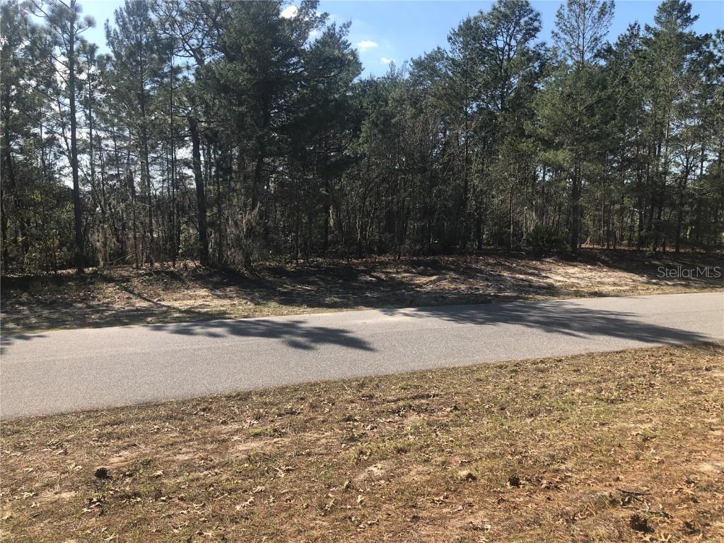 000 Sw 162nd Place, Ocala, FL 34473