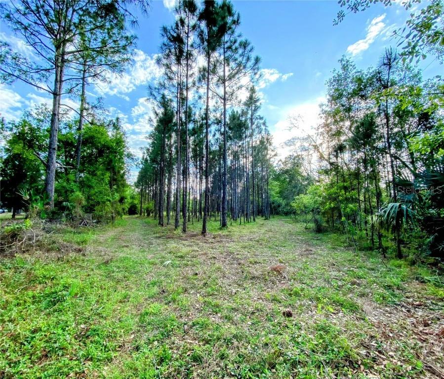 W Garon Cove, Geneva, FL 32732