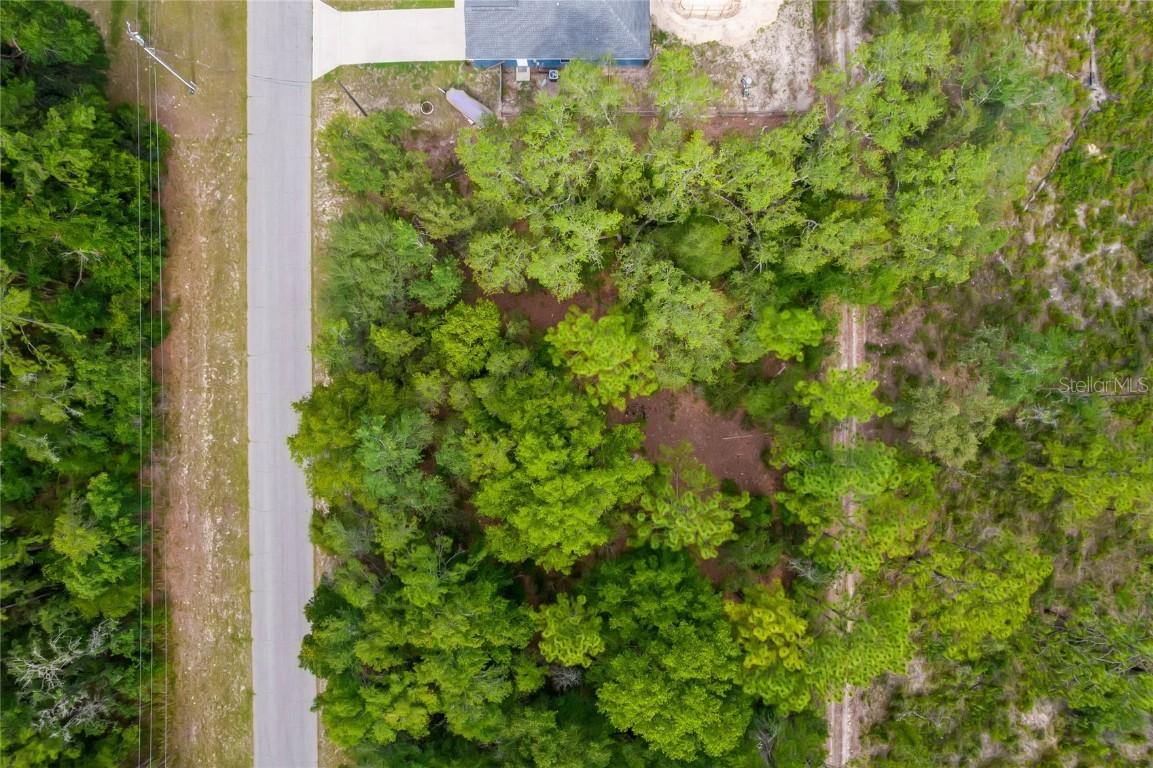 Sw 128th Loop, Ocala, FL 34473