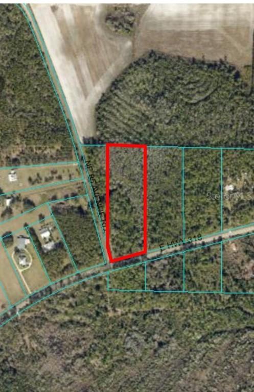 TBD E Hwy 318, Citra, FL 32113