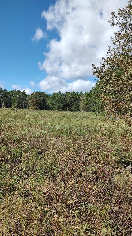 Lot 2 SW 151st Ct., Ocala, FL 34481