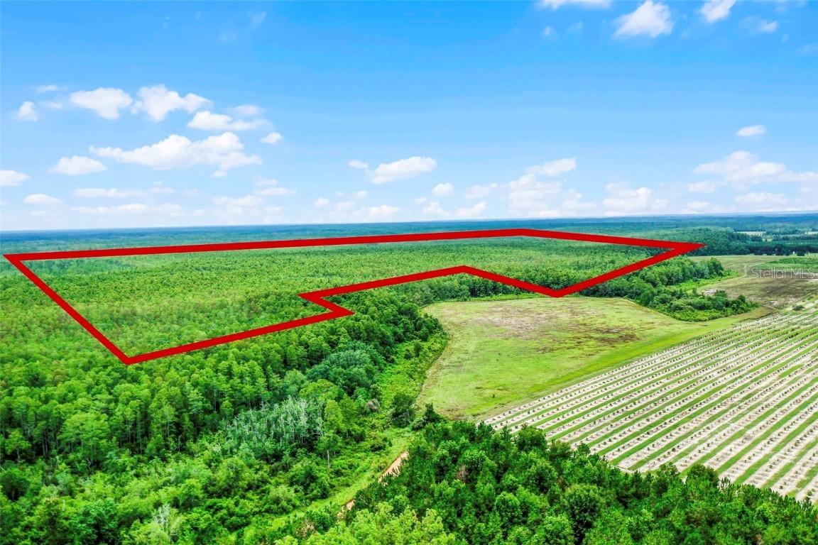 S Boggy Marsh Rd., Clermont, FL 34711