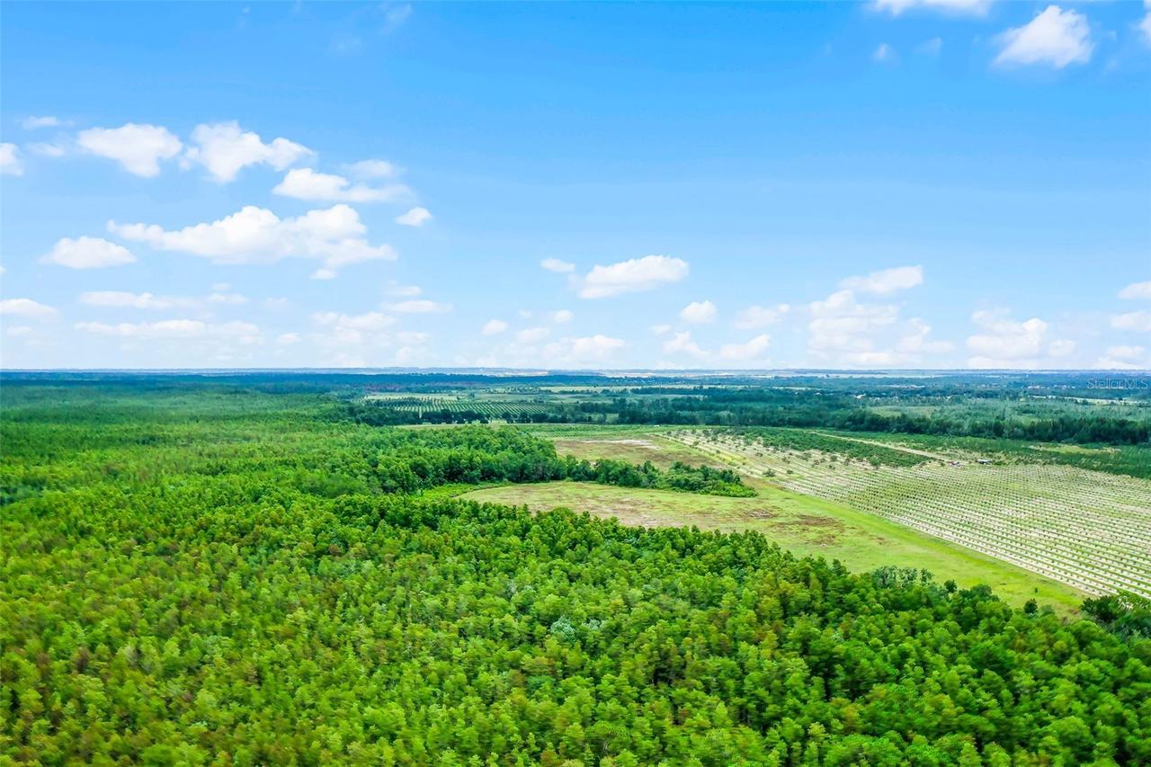 S Boggy Marsh Rd., Clermont, FL 34711