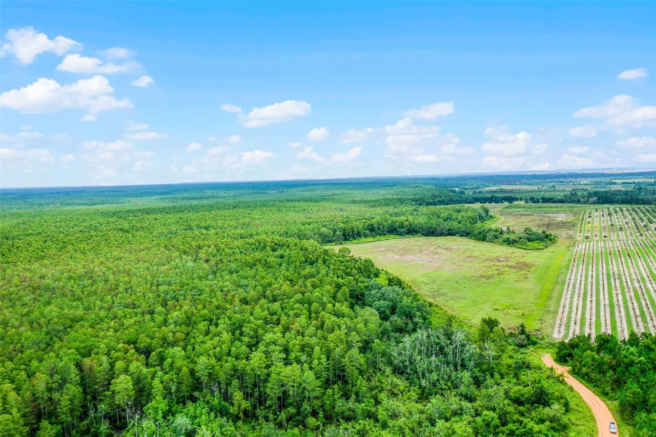 S Boggy Marsh Rd., Clermont, FL 34711