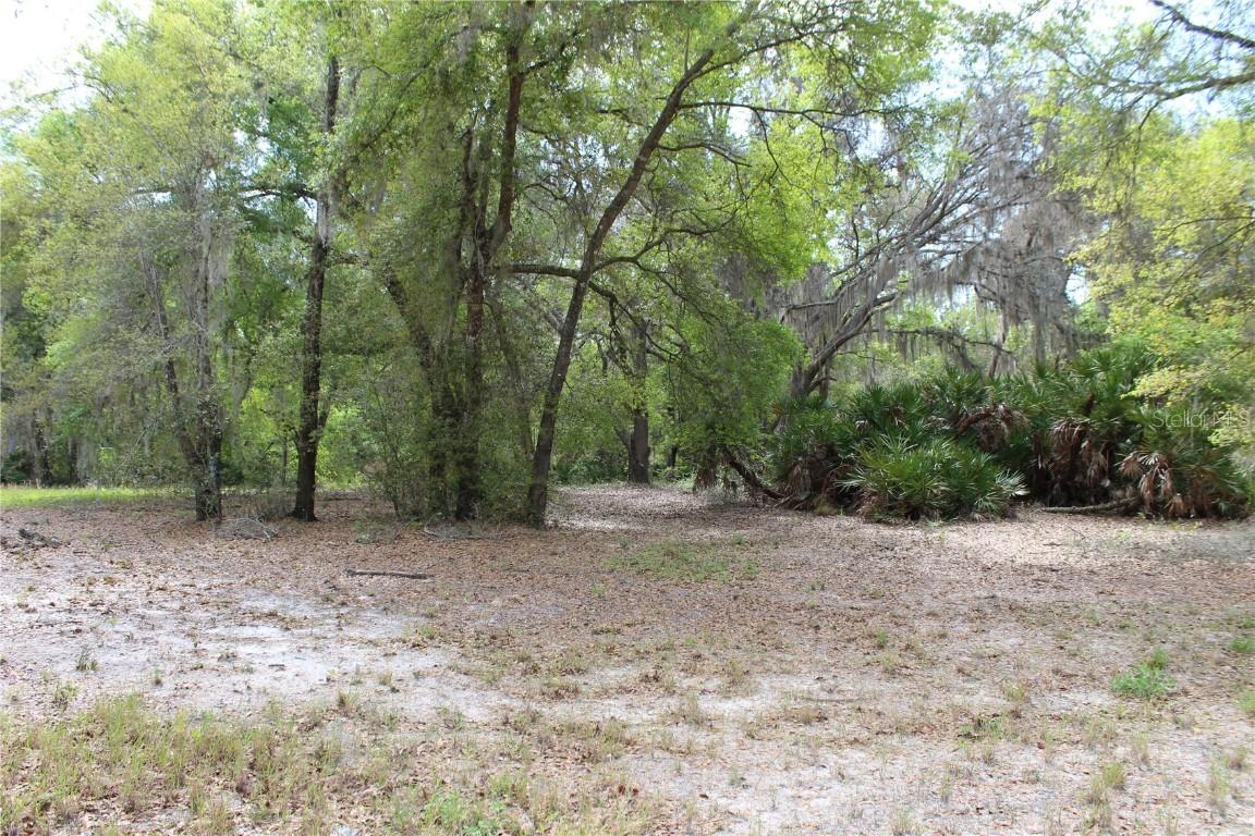 3134 Bright Lake Cir. #Lot 67, Leesburg, FL 34748