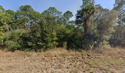 717 Brooklyn Loop, Labelle, FL 33935