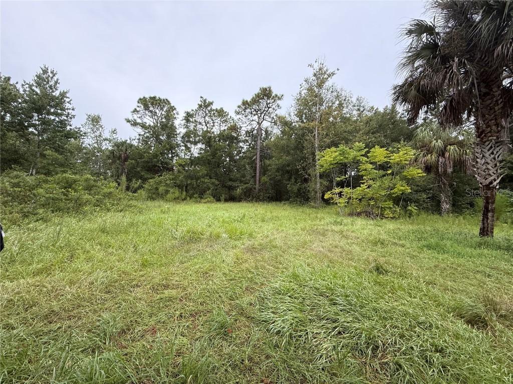 7435 W Lincoln Ln., Homosassa, FL 34448