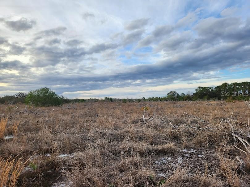 W Frostproof Rd. #Lot 10, 11, 12, 13,, Frostproof, FL 33843