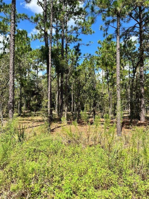 TBD SW 156th Ct., Ocala, FL 34481