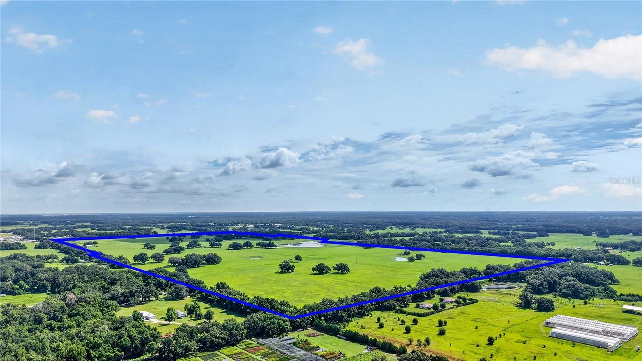 TBD E C 478, Webster, FL 33597