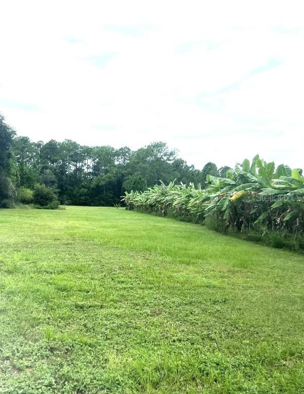 [Address Hidden by Seller], Groveland, FL 34736