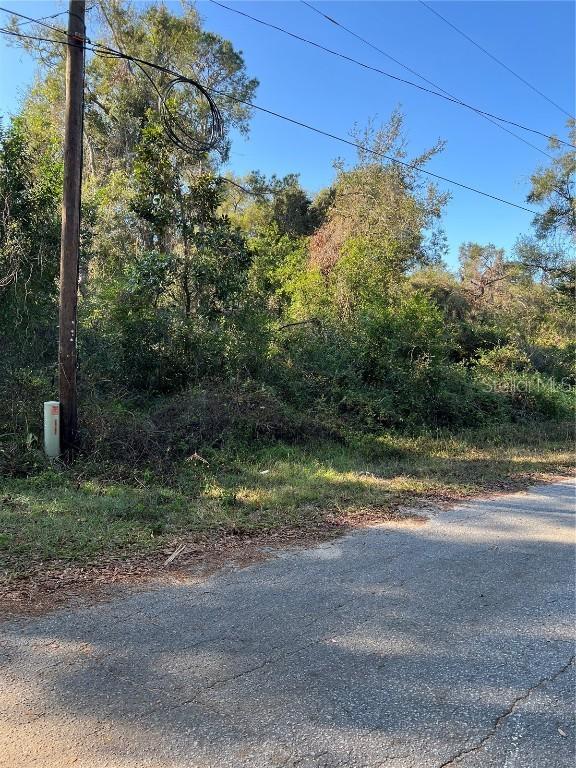 Cr 690, Webster, FL 33597
