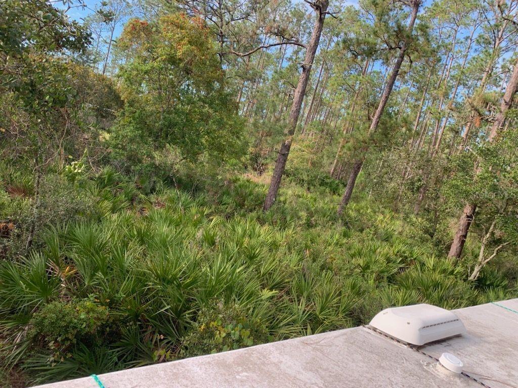 [Address Hidden by Seller], Altoona, FL 32702