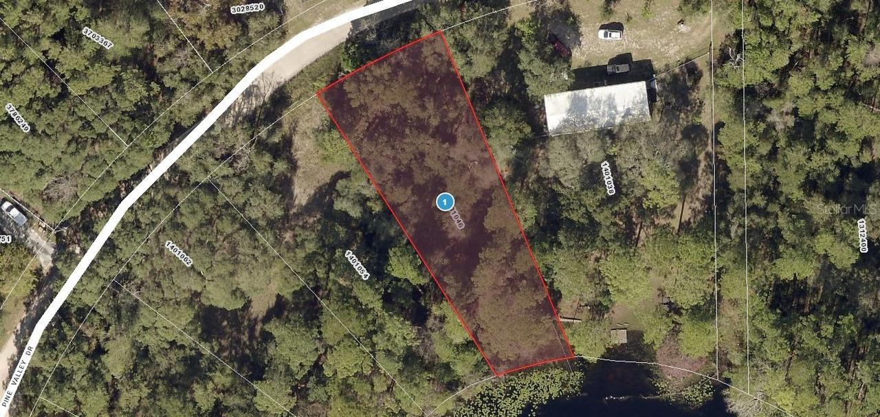 42320 Pine Valley Dr., Paisley, FL 32767