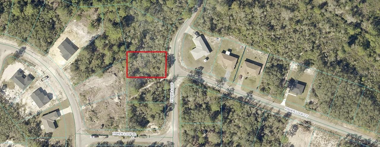 Fisher Loop, Ocklawaha, FL 32179
