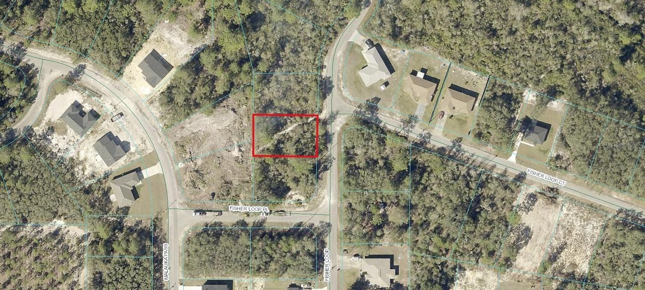 Fisher Loop, Ocklawaha, FL 32179
