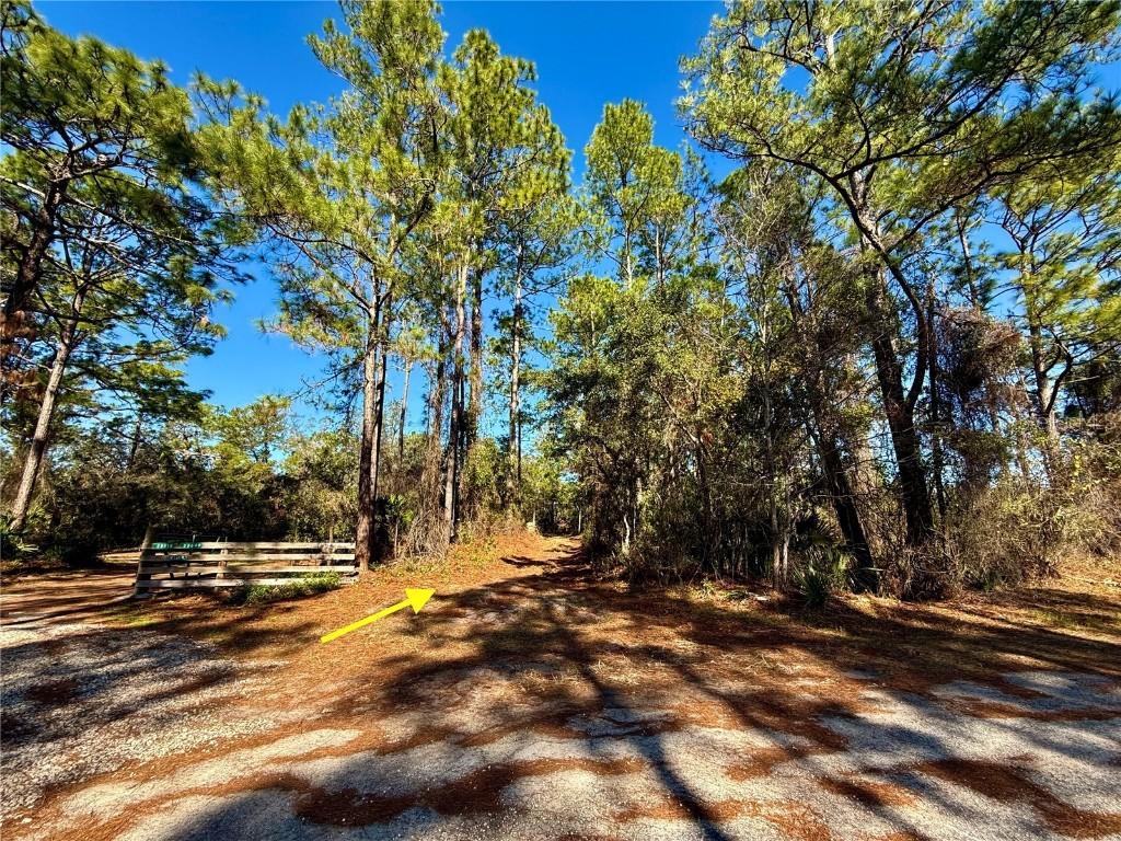 40001 Maggie Jones Rd., Paisley, FL 32767