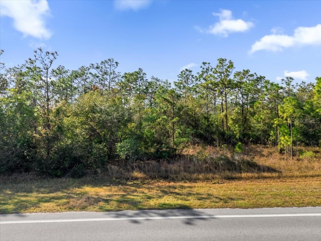 Lot 14 Dallas Blvd., Orlando, FL 32833