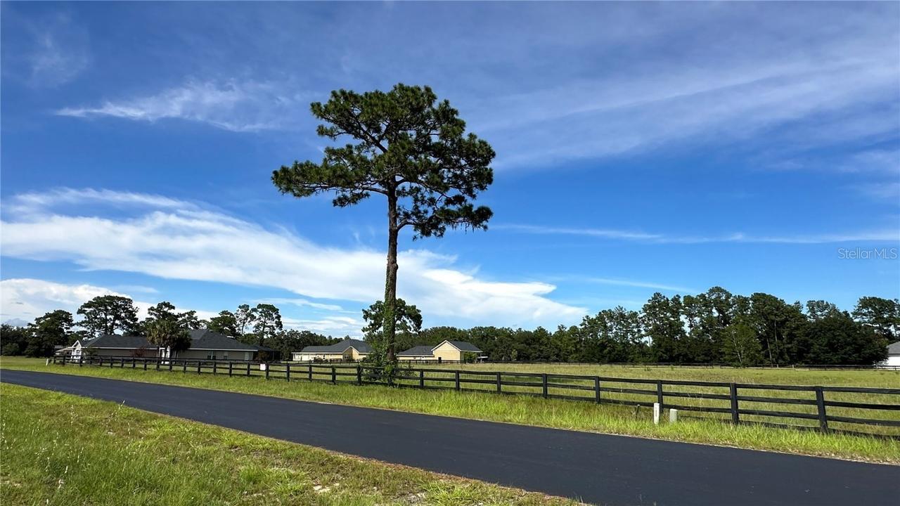 TBD Ne 61st Avenue Road Rd., Silver Springs, FL 34488