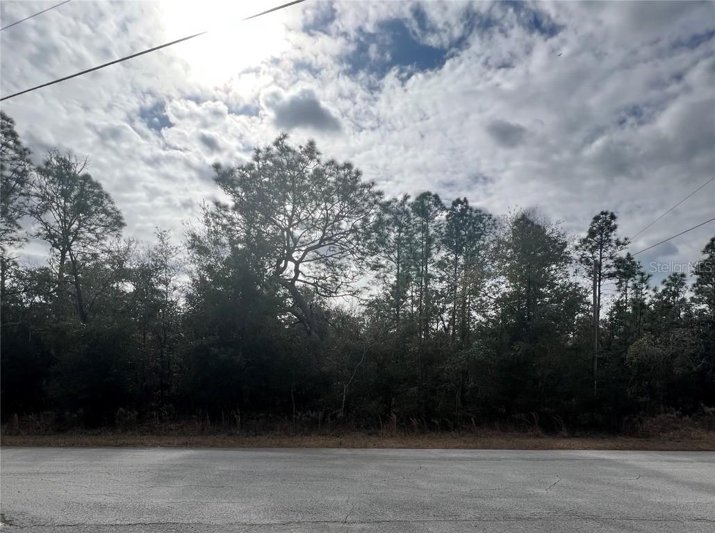 Tbd Sw Tiger Lake Blvd., Dunnellon, FL 34431