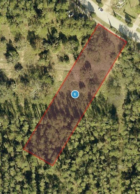 15536 Pendio Dr., Montverde, FL 34756