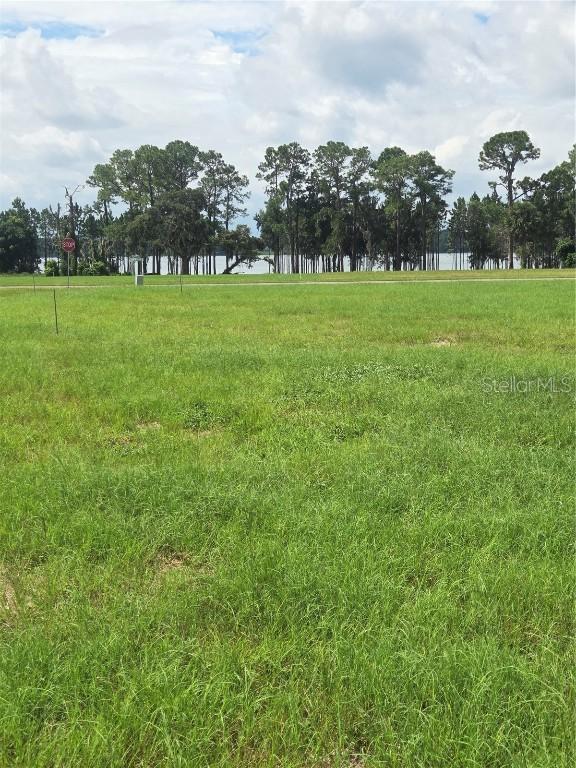 38401 Wooded Meadow Dr., Umatilla, FL 32784