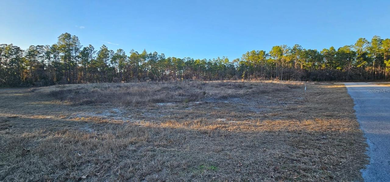 Sw 136th St., Ocala, FL 34473
