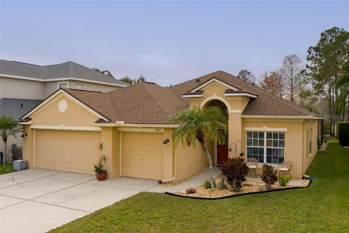 3203 Sago Point Ct., Land O Lakes, FL 34639