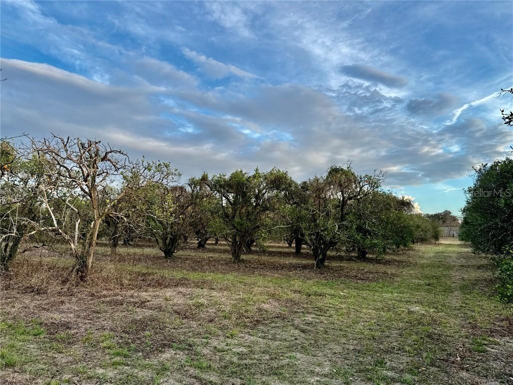 SE 165th Ave., Weirsdale, FL 32195