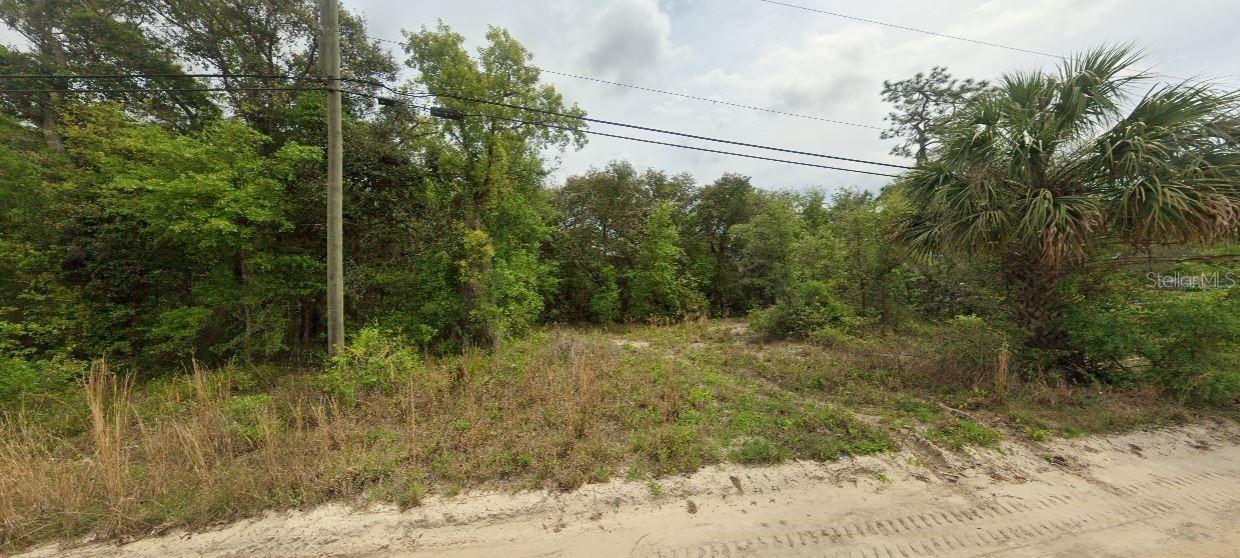 Riverside Tr., Satsuma, FL 32189