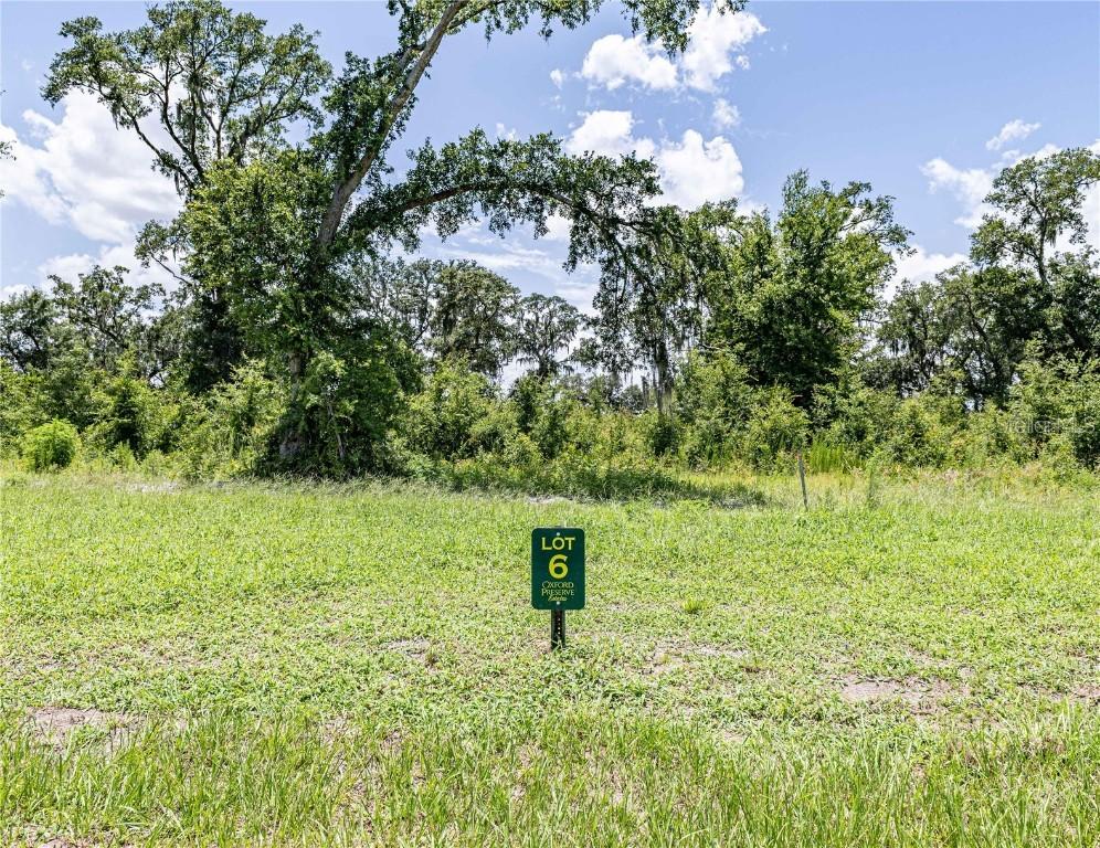 1420 Oxford Preserve Trl, Oxford, FL 34484