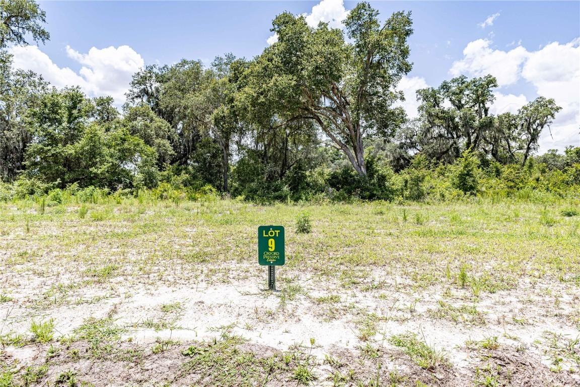 1374 Oxford Preserve Trl, Oxford, FL 34484