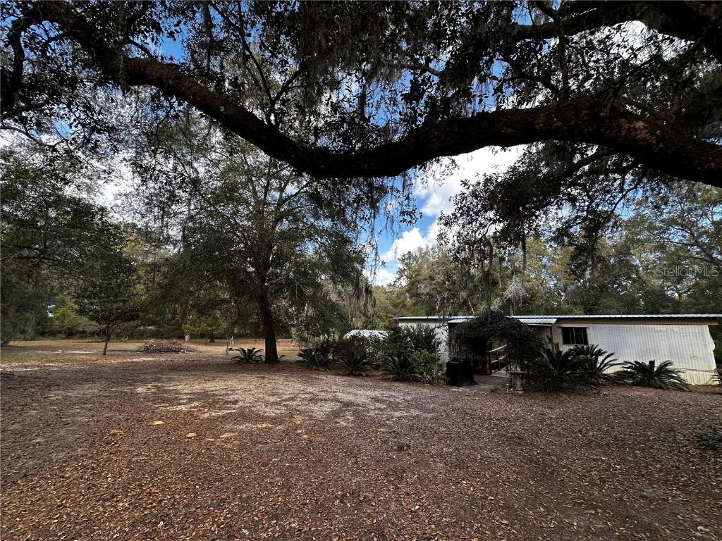 12212 NE 238th Ter., Salt Springs, FL 32134