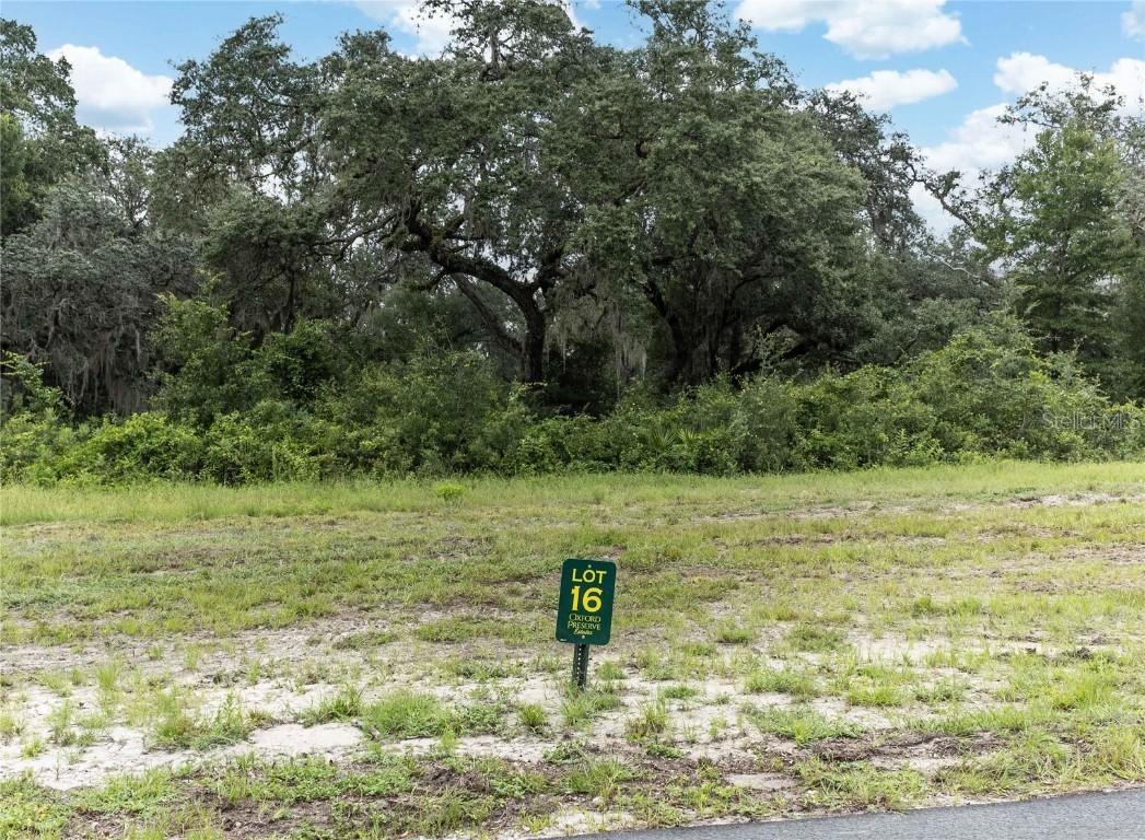 1411 Oxford Preserve Tr, Oxford, FL 34484