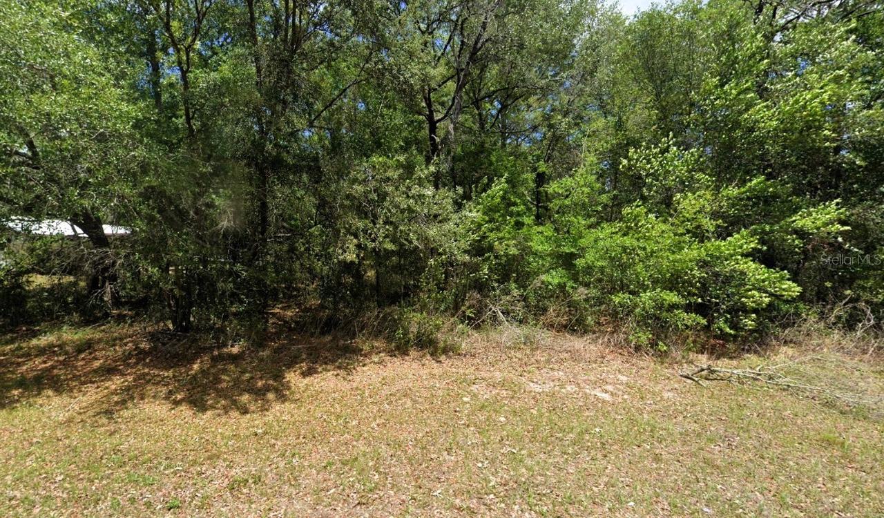 2781 W Mystery Ln., Citrus Springs, FL 34434